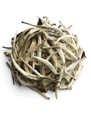 Tè Bianco Yin Zhen premium