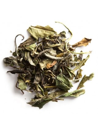 Tè Bianco Pai Mu Tan King