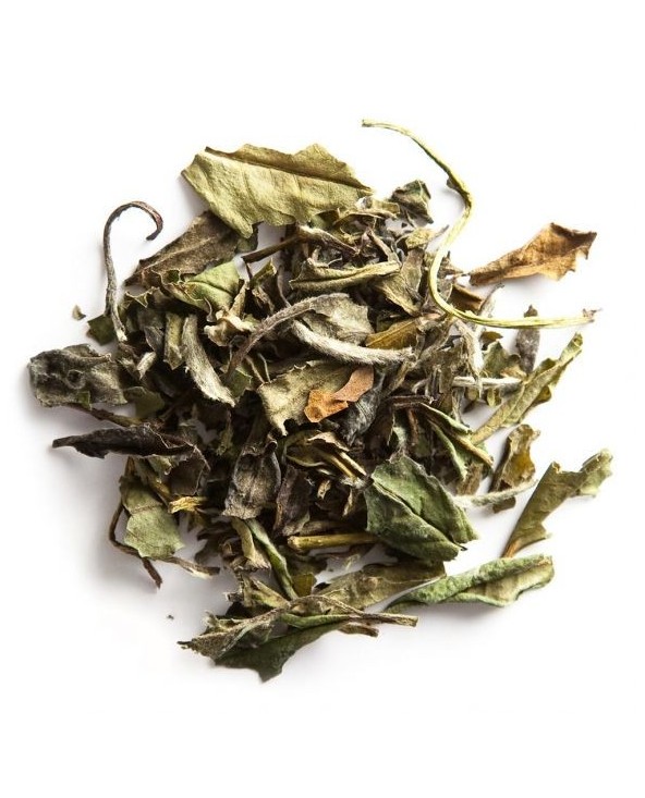 Tè Bianco Pai Mu Tan King