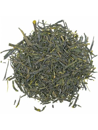 Tè Verde Sencha Kagoshima Premium