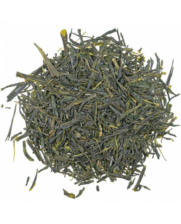 Tè Verde Sencha Kagoshima Premium