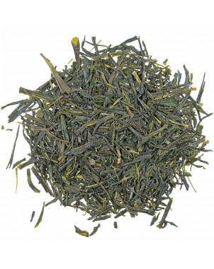 Tè Verde Sencha Kagoshima Premium