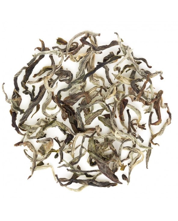 Tè Bianco Nepal White Shangri-La