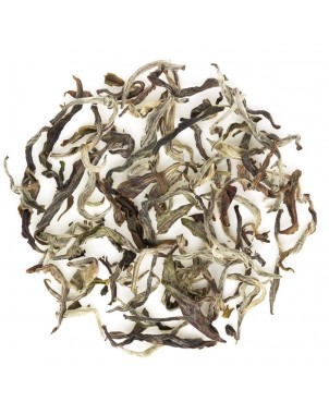 Tè Bianco Nepal White Shangri-La