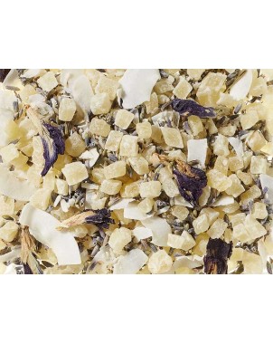 Infusi Butterfly Blue Tea