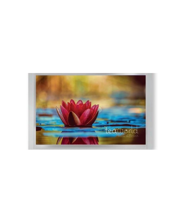 Pyramid Tea Postcard Lotus