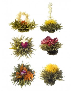 Tè Bianco Fiori di Tè - 1 pz