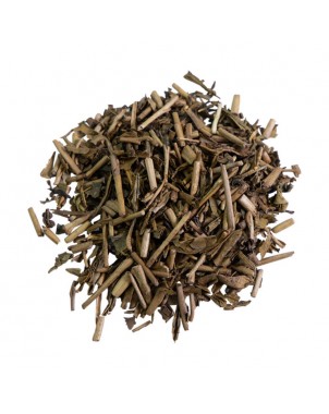 Tè Verde Hojicha premium