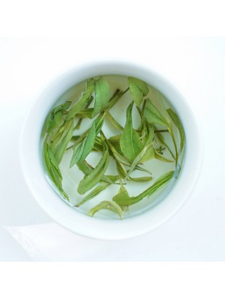 Tè Verde Anji Bai Cha premium