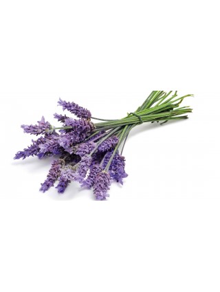 Tisane Lavanda