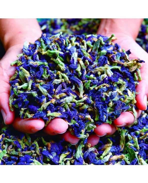 Tisane Butterfly Pea Flower