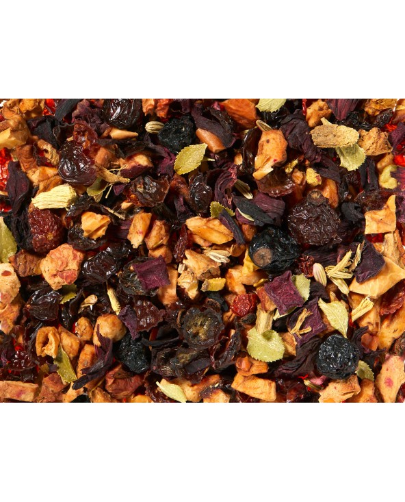 Infusi Stella Polare