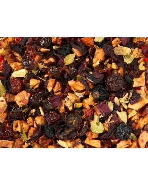 Infusi Stella Polare