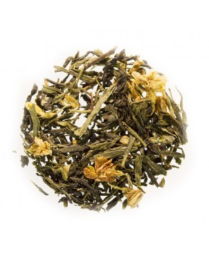 Tè Verde Bancha Jasmine