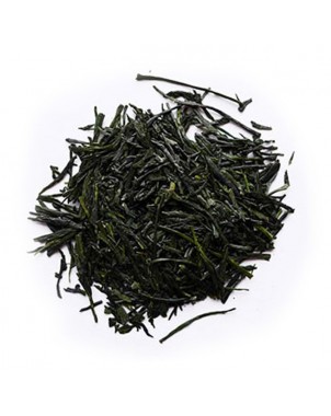 Green Tea Shincha Tsuyu Hikari 2023